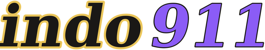 indo911 logo